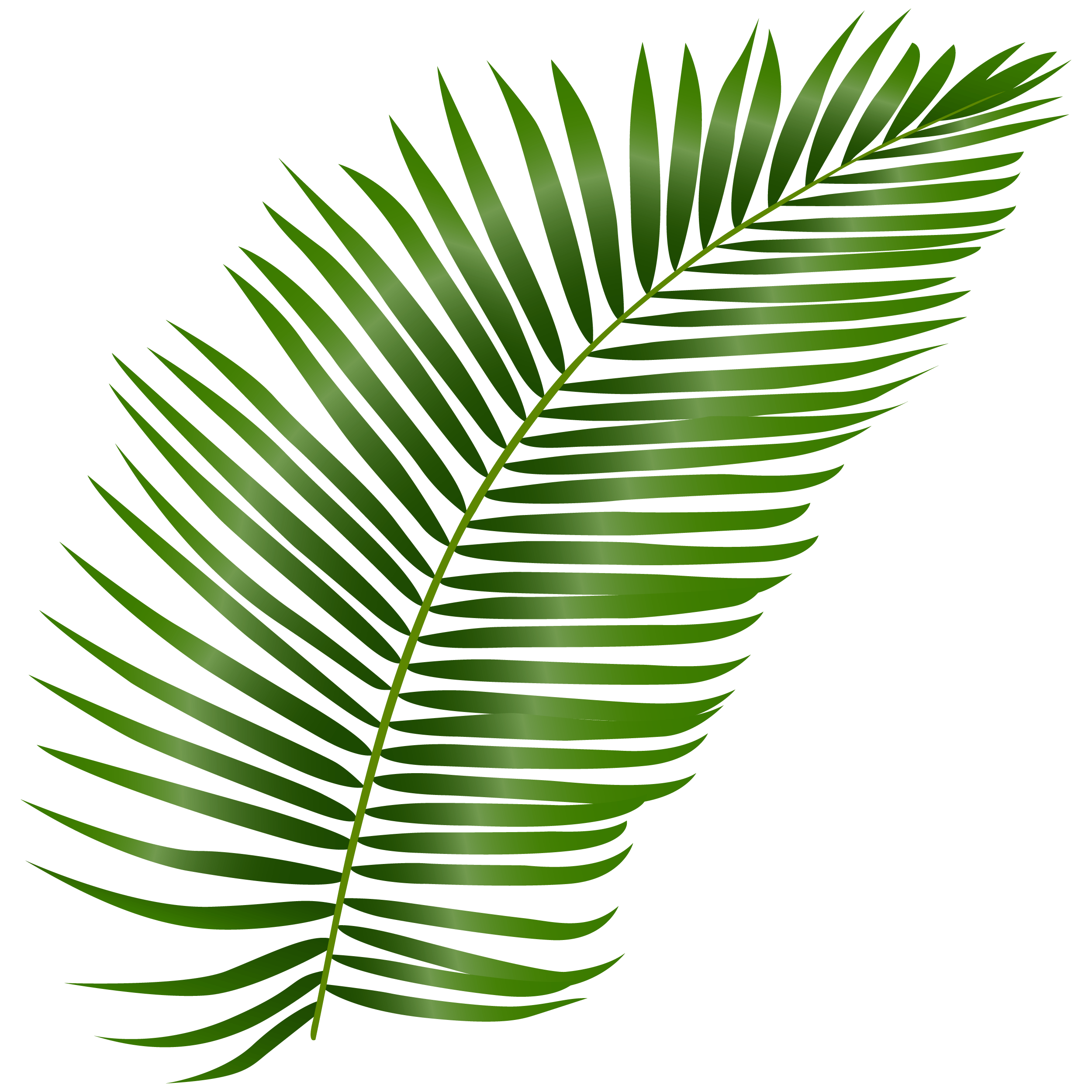 Leaf